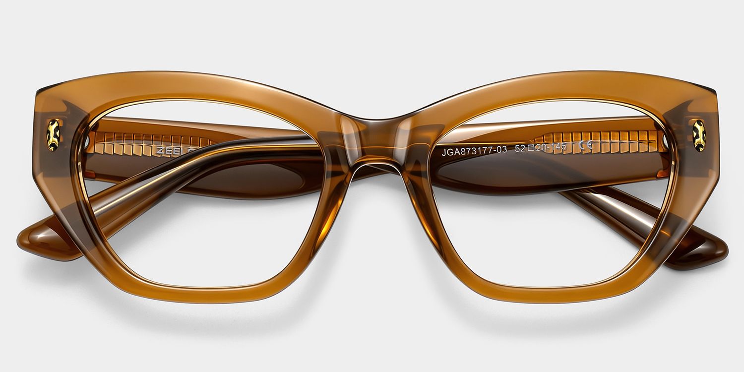 Dillon Brown Cat-Eye Glasses | ZEELOOL2
