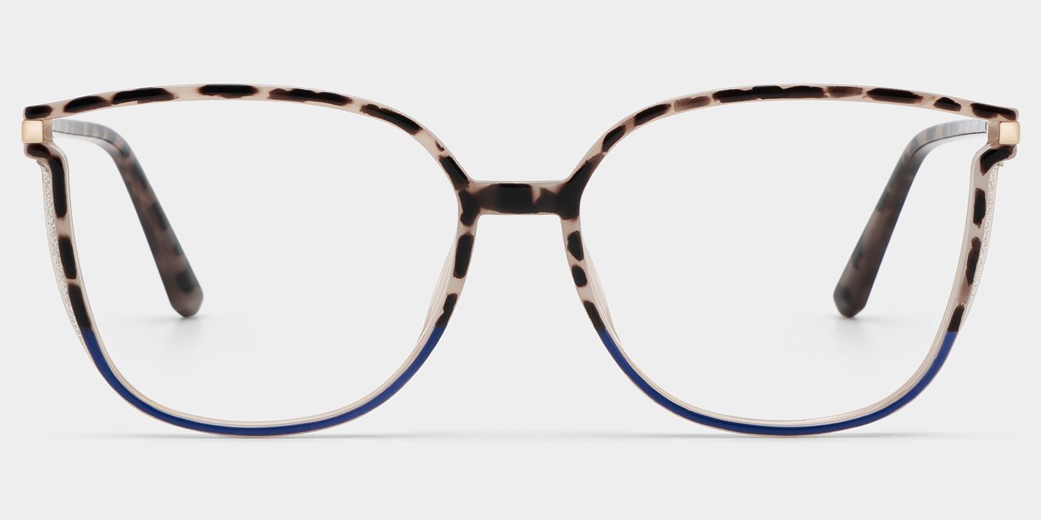 Rodz Tortoise-Blue Eyeglasses with Designer Frame1