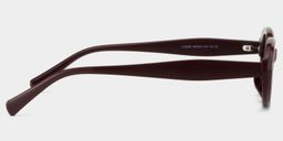 Zion Oval Purple Polarized Sunglasses3