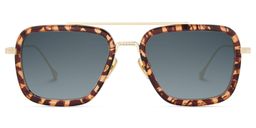 Gifford Aviator Tortoise Sunglasses0