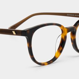 Allison Tortoise Round Glasses5