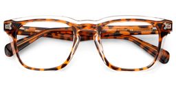 Liam Rectangle Tortoise Glasses2