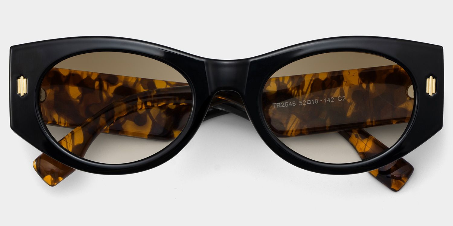 Reina Geometric Style Black Frame Sunglasses | ZEELOOL2