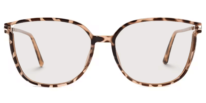Rodz Square Thin Tortoise Glasses0