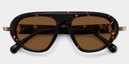 Aveline Tortoise Aviator Glasses1