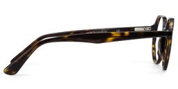 Hazel Geometric Tortoise Glasses4