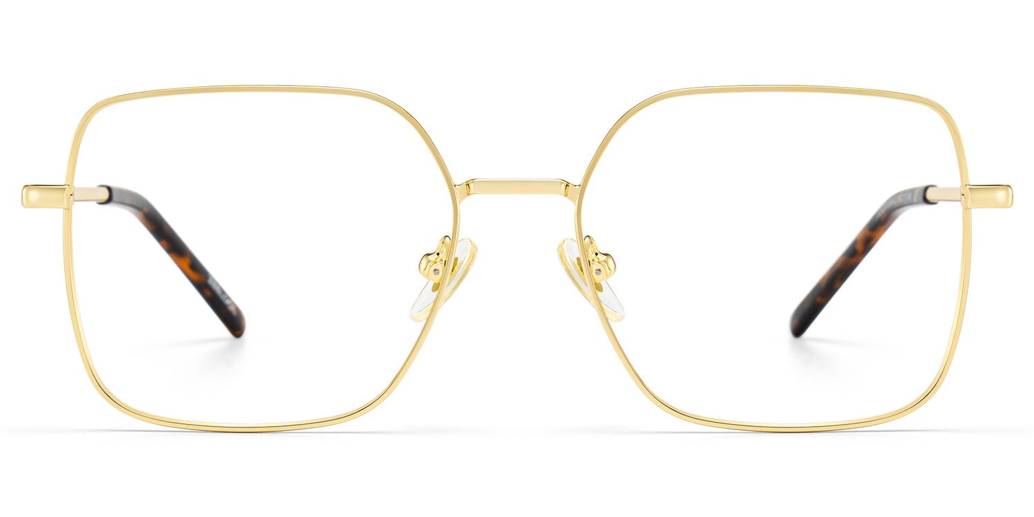 Abigail Tortoise Shell Glasses with Gold Arms for Women in Daily