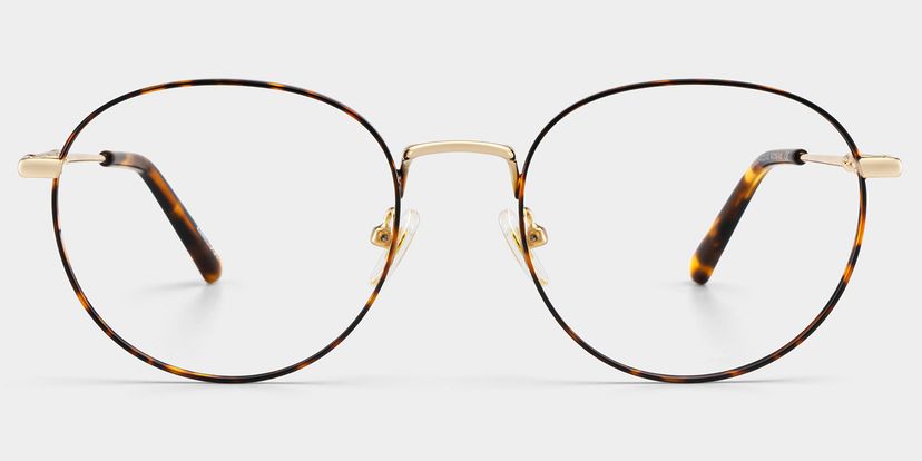 Ian Round Tortoise Glasses
