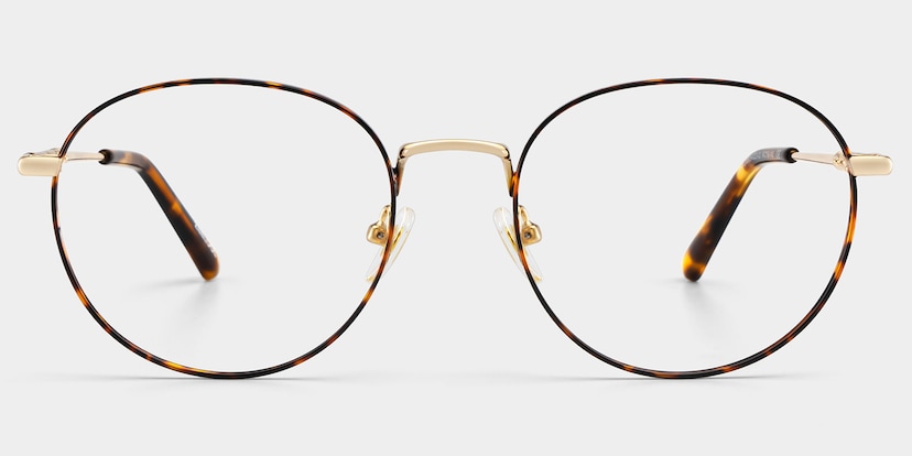 Ian Round Tortoise Glasses