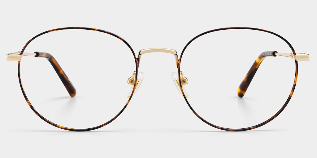 Ian Round Tortoise Glasses