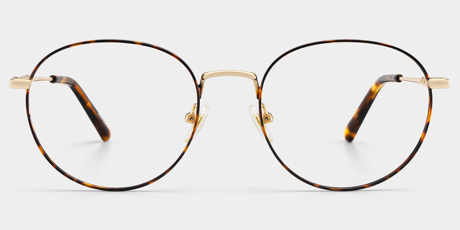 Ian Round Tortoise Glasses