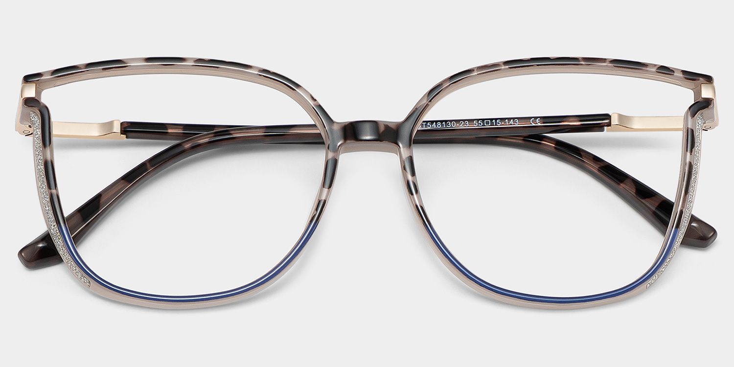 Rodz Tortoise-Blue Eyeglasses with Designer Frame