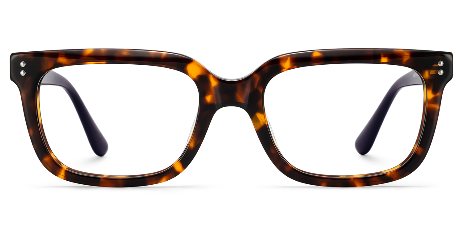 その他 One frameTE Fern Tortoise Rectangle Frame Glasses for Men | ZEELOOL