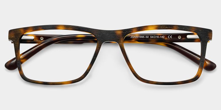 Daniel Tortoise Rectangle Glasses
