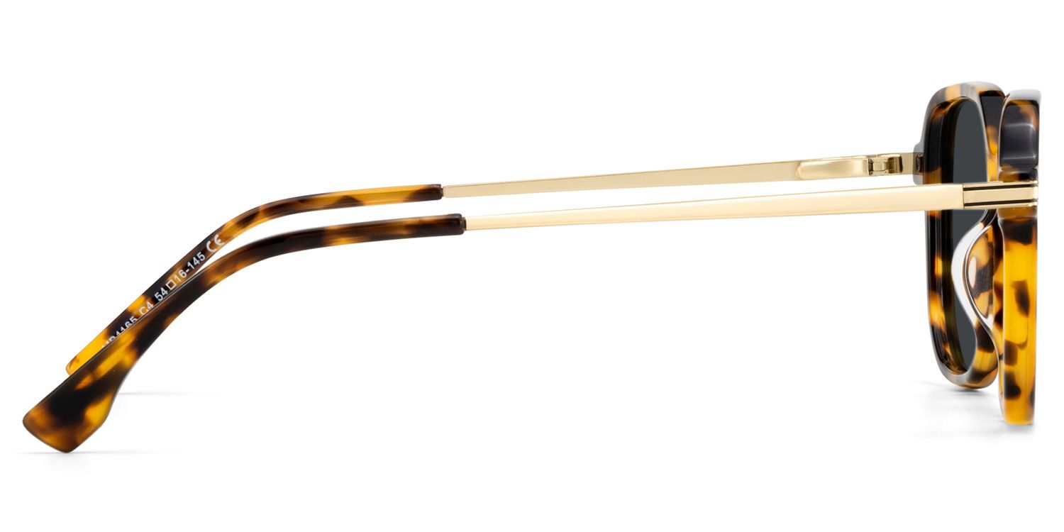 Jetson Tortoise Rectangle Polarized Sunglasses for Driving | ZEELOOL3