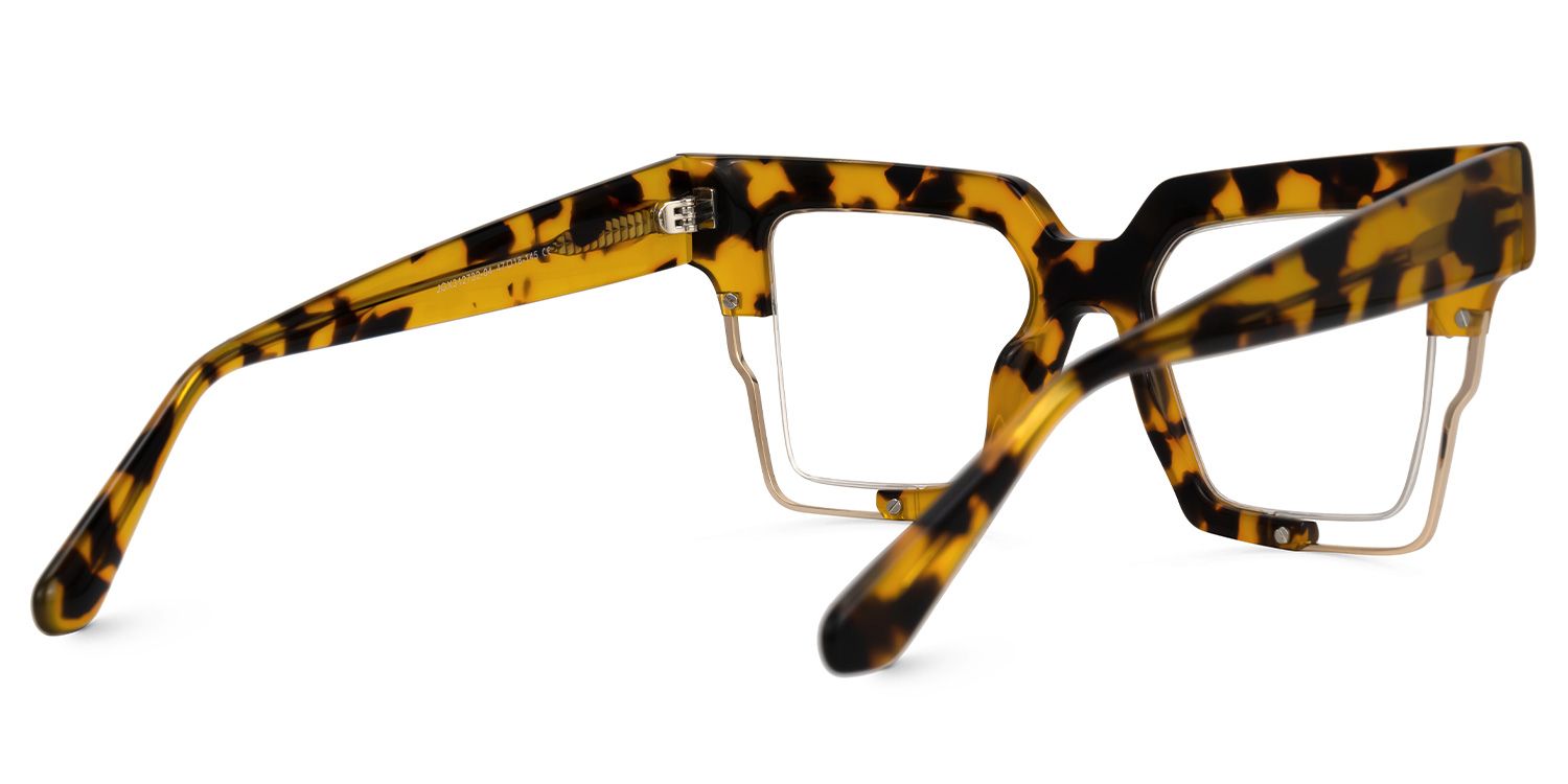 Aidza Square Tortoise Glasses