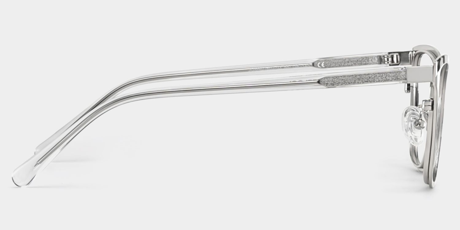 Elise Tortoise Frame Glasses with Rectangle Frame Online | ZEELOOL4