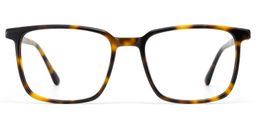 Aidan Tortoise Rectangle Glasses1