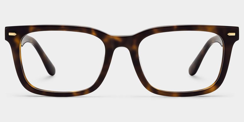 Patrick Rectangle Tortoise Glasses