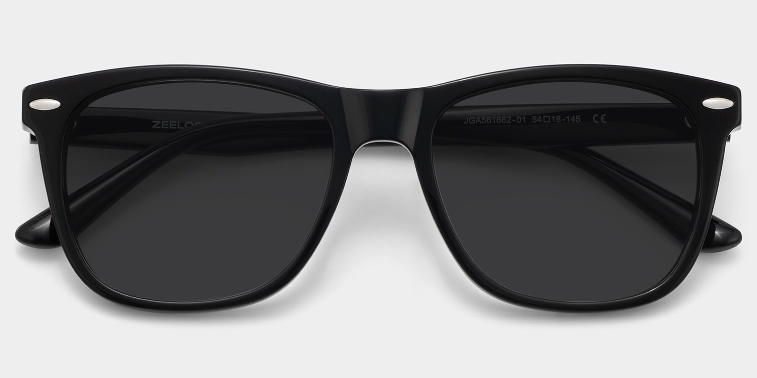 The Eye ブラックメタル　BLACKL Atlas Acetate Black Rectangle Frame Sunglasses | ZEELOOL