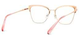 Harley Browline Pink Leopard Glasses5