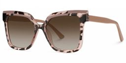 Eboney Square Tortoise Glasses2