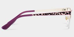 Dorian Purple Leopard print Cat eye Glasses4