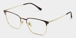 Cole Browline Brown Glasses5