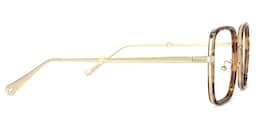 Ozzy Square Tortoise Glasses3