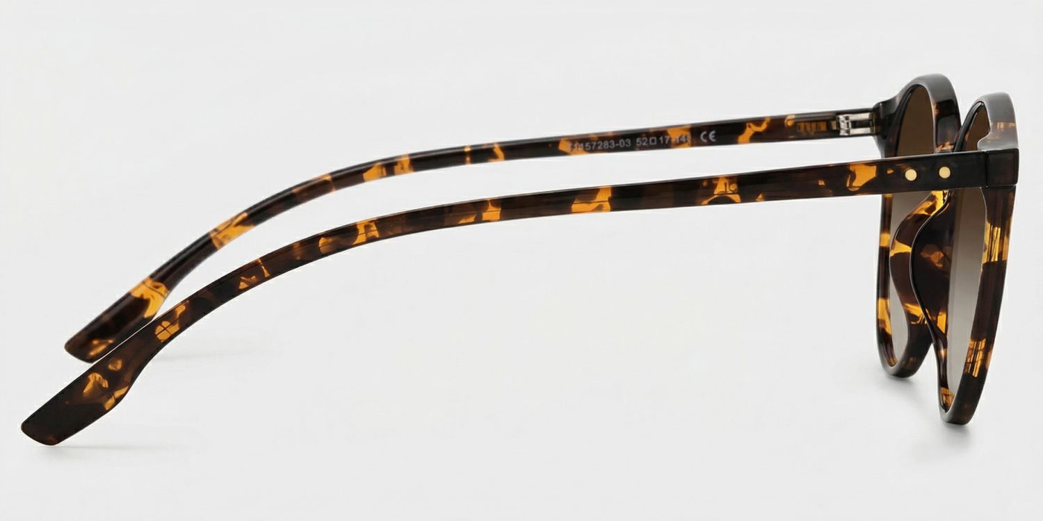 Blanco Round Tortoise Glasses | Zeelool Glasses3