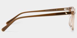Allison Clear Brown Round Glasses4