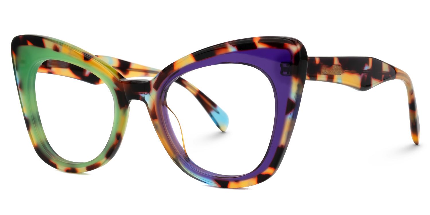 Dunkley Designer Eyeglasses in Cateye Multicolor Frame1