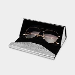 Silver Portable Glasses Storage Bag4