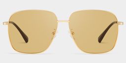 Valentina Gold Square Sunglasses1
