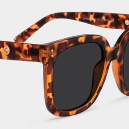Ebony Square Tortoise Sunglasses4