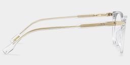 Daisy Round Clear Glasses4