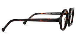 Paola Tortoise Asymmetric Square Circle Glasses2