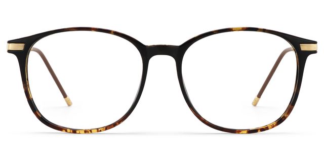 Greene Tortoise Square Glasses