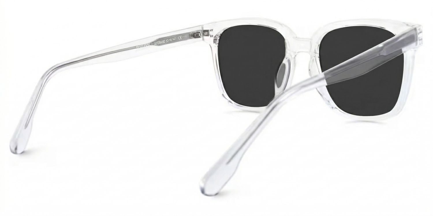 Donnalyn Tr90 Clear Frame Sunglasses | ZEELOOL3