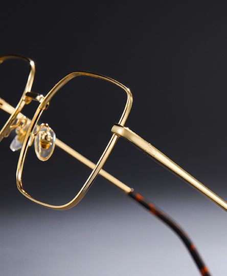 Abigail Tortoise Shell Glasses with Gold Arms for Women in Daily
