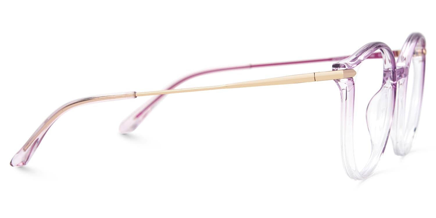 Caylan Round Purple Designer Eyeglass Frames2