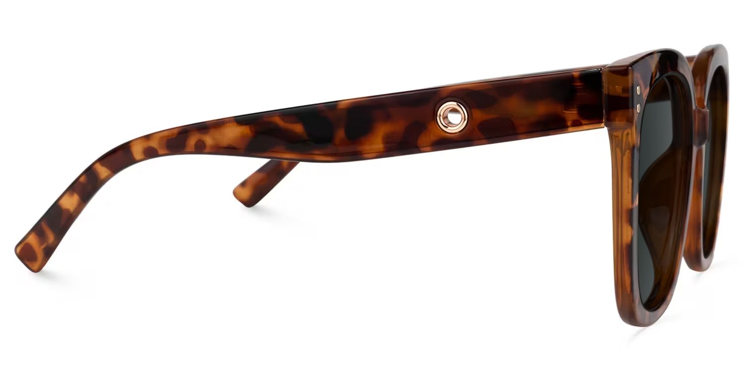 Ebony Tortoise Sunglasses and Square Sunglasses Frames2