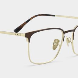 Cole Browline Brown Glasses7