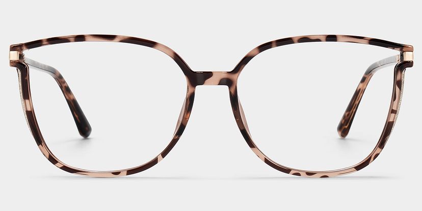 Rodz Square Thin Tortoise Glasses