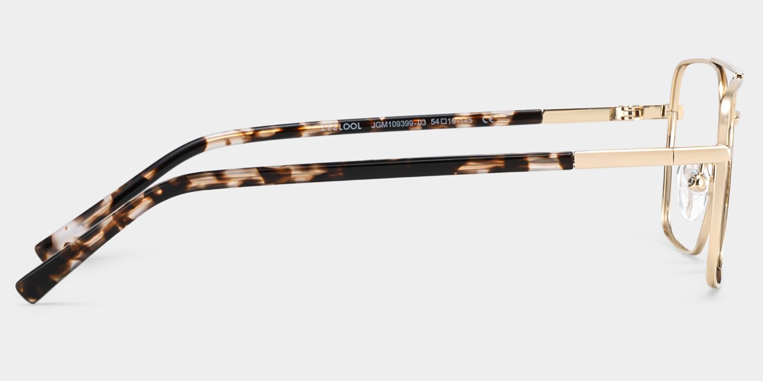 Iris Light Gold Frame Glasses with Aviator Frame Online | ZEELOOL5