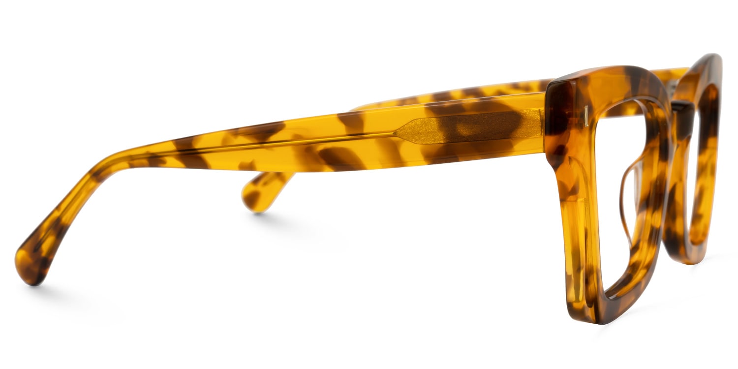 Dayana Square Tortoise Glasses