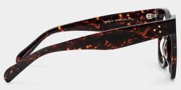 Gordon Rectangle Tortoise Glasses3