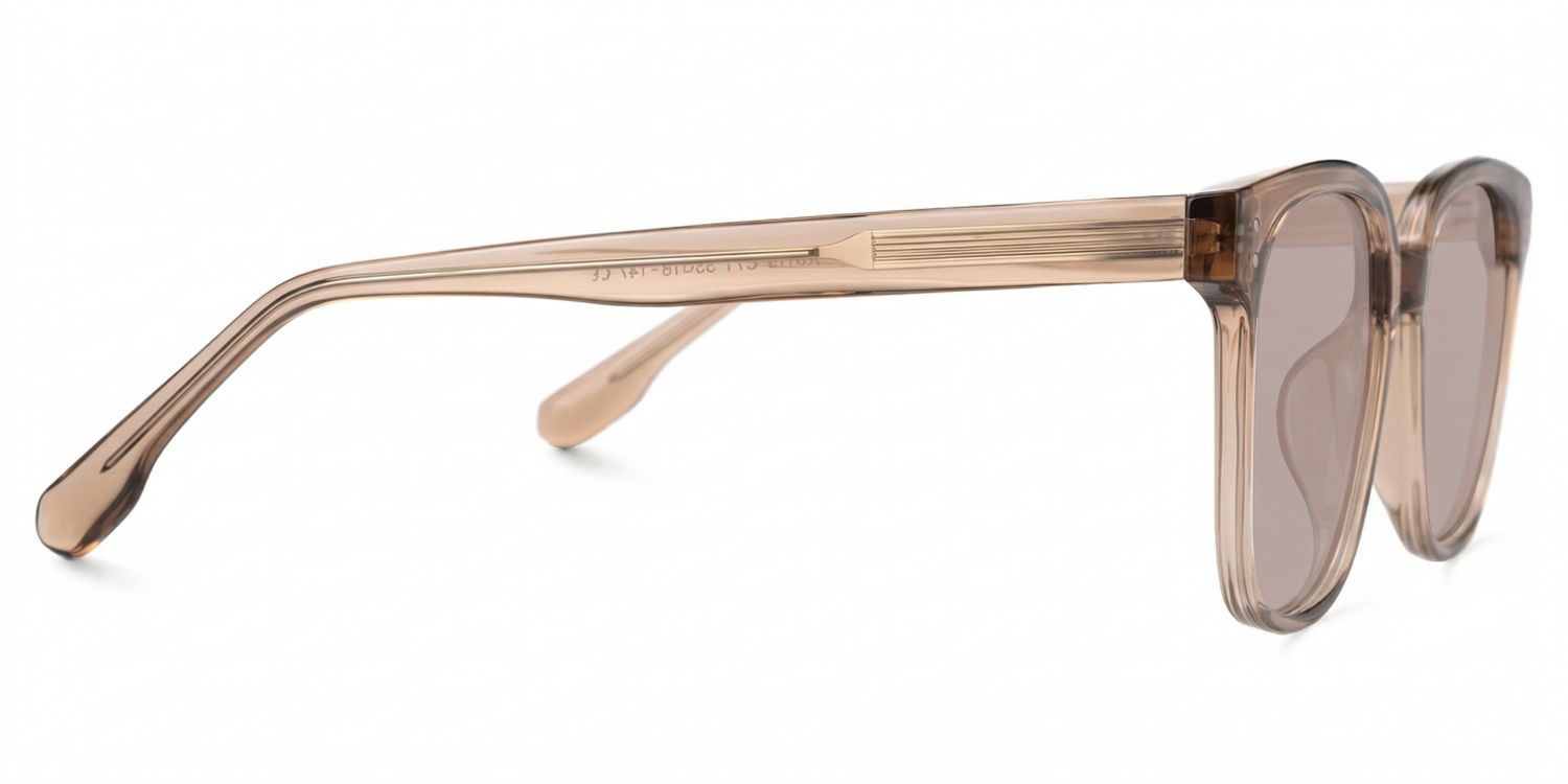 Donnalyn Tr90 Brown Frame Sunglasses | ZEELOOL2