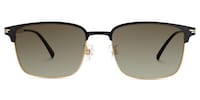 Charleston Browline Gold Sunglasses0