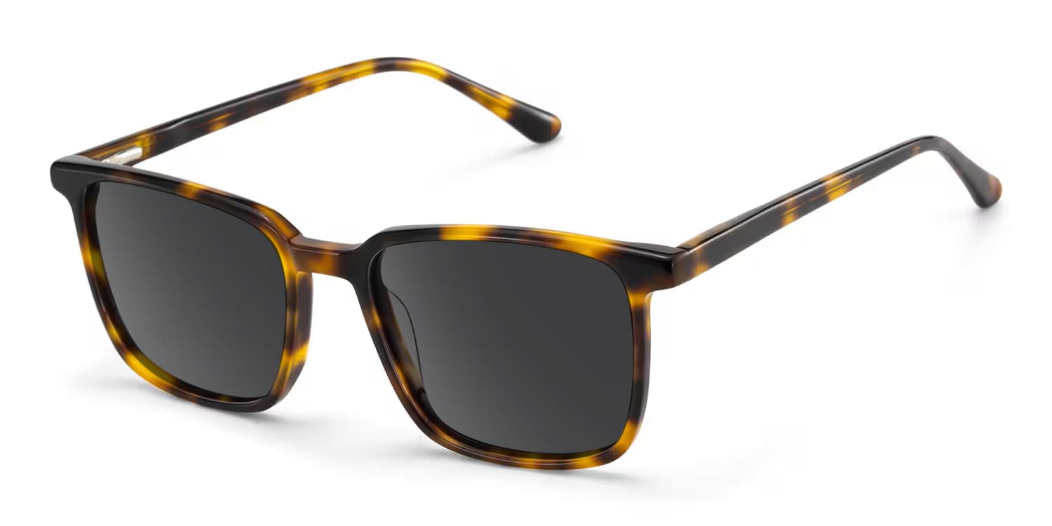 Aidan Rectangle Tortoise Glasses2
